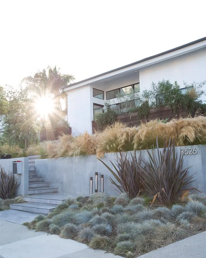 02_620A0133_edited_-720x900 A house covered in snow