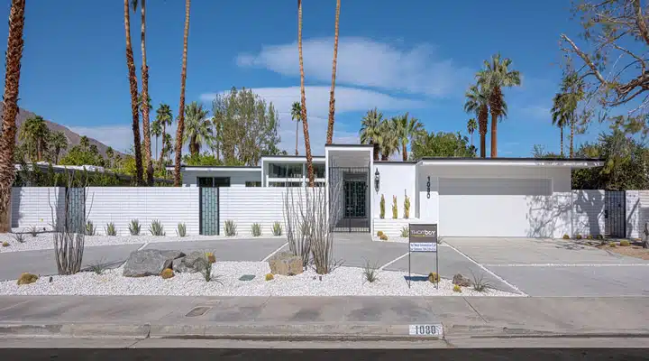 1206057-0101 Un palm tree sobre una mesa