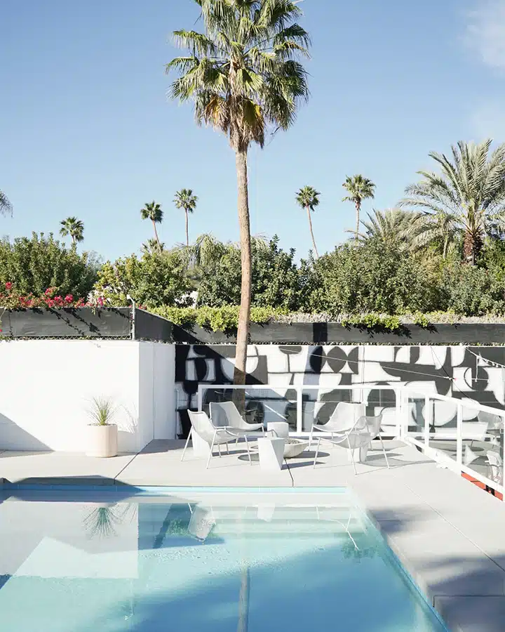 1602-2018-04041473969450798633-720x900 A group of palm trees