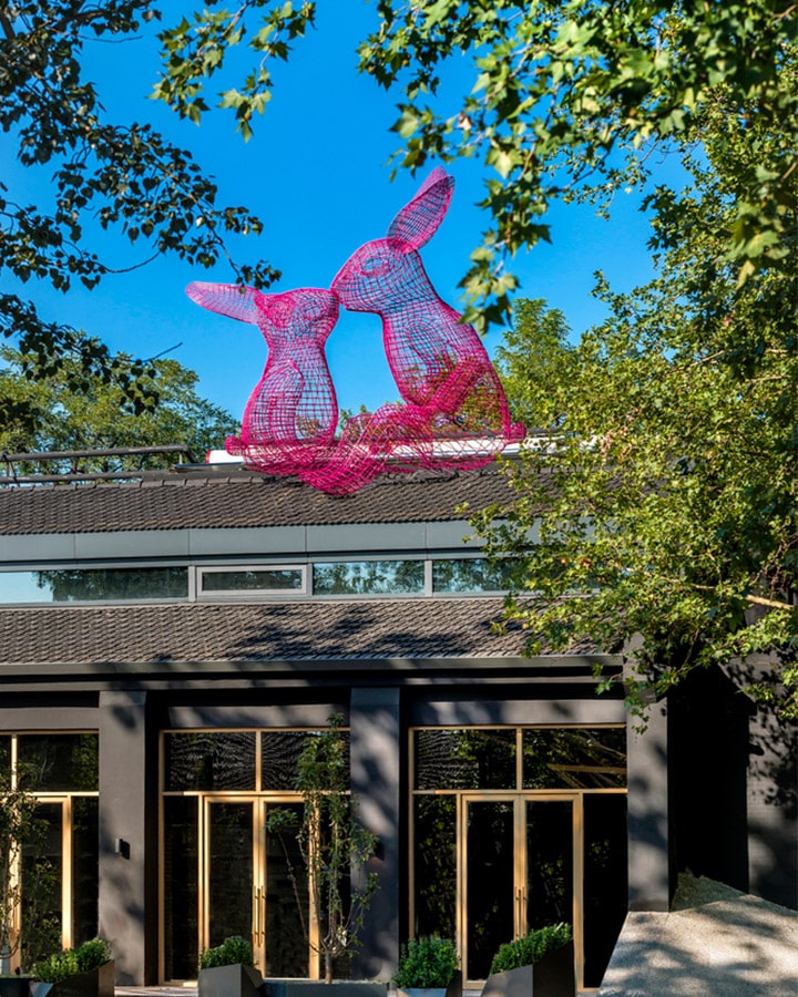 A tree in front of a building