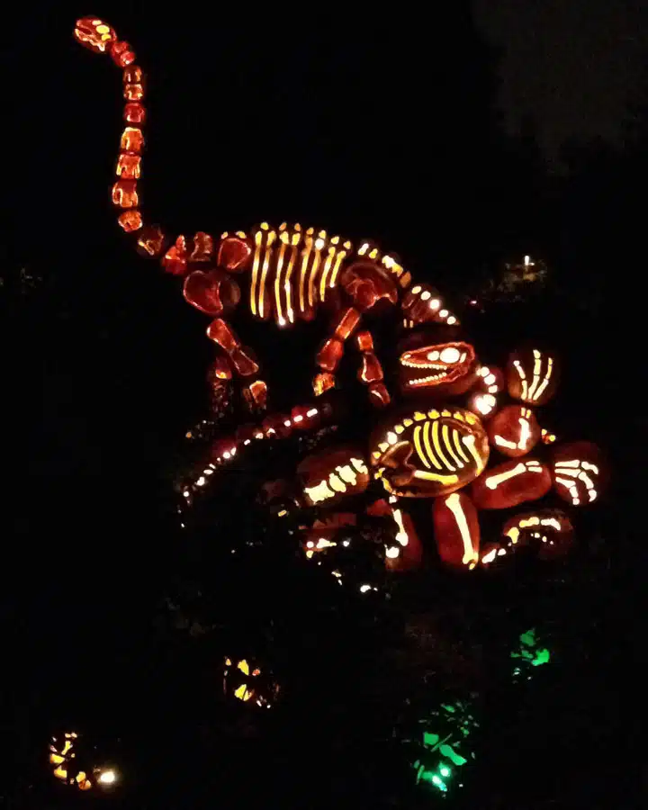 2014-10-31-20.05.27 Fireworks in the sky