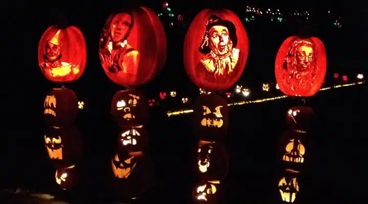 2014-10-31-20.14.06 A traffic light is lit up at night