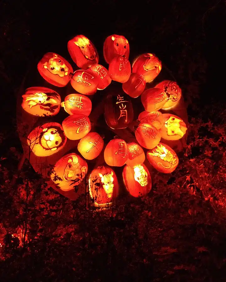 2014-10-31-20.17.45 A bunch of oranges