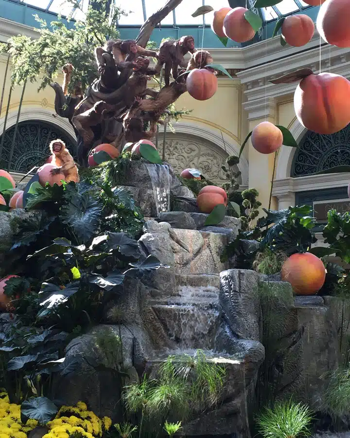 2016-01-20-12.19.35 Un montón de fruta sobre una roca