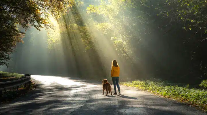 women with a dog together. sun light on the road. girl and a red A person riding a skateboard down the side of a road