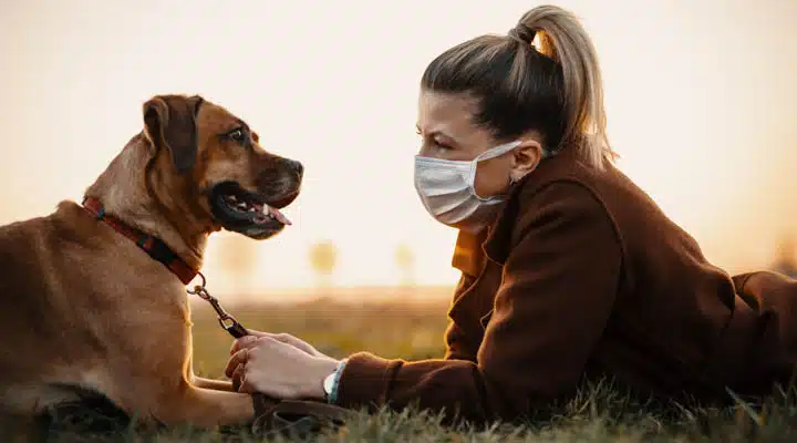 Woman wearing a protective mask is walking alone with a dog outd A person holding a dog