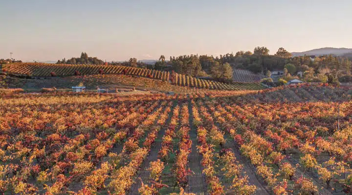 Autumn_Clors_-_Sonoma-720x400 A large long train on a train track with trees in the background