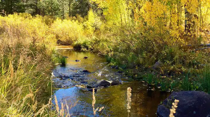 Autumn_Colors_Sierra_Nevada-720x400 A river running through a body of water