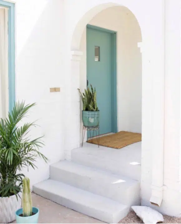 Barrier_Reef_Front_Door A palm tree in front of a window