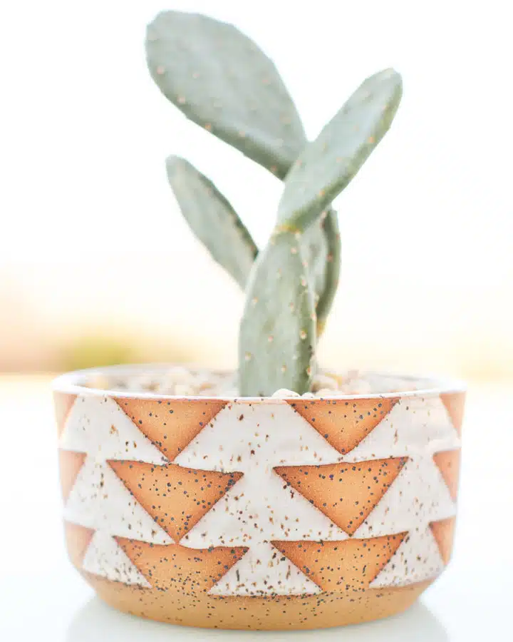 CJTD-105 A cup of tea on a table