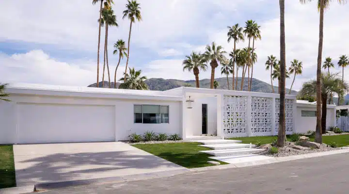 CKC19_Exterior_c_Nathan_Cox-720x400 A palm tree in front of a building