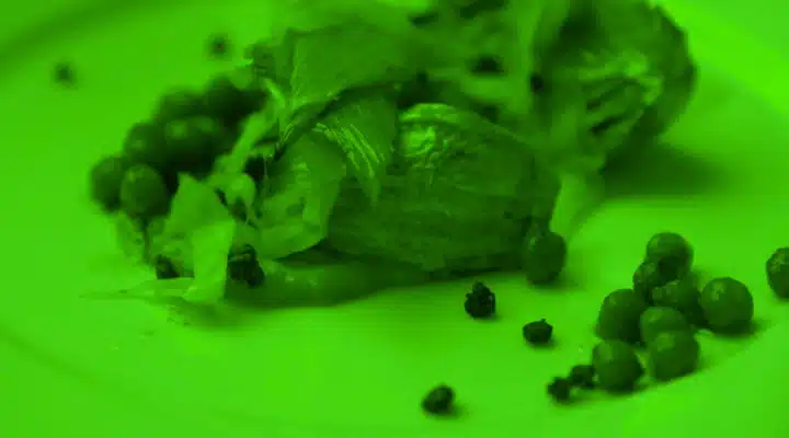 COLOR-FEAST-5 A green apple on a plate