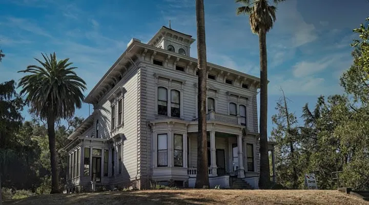 A tree in front of a building