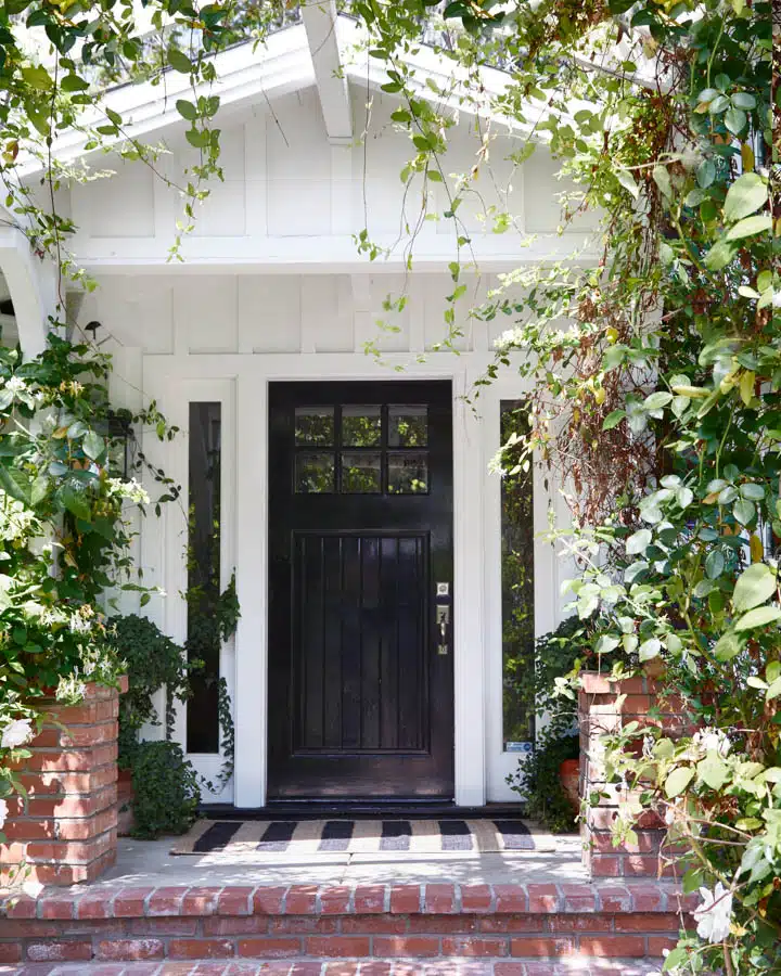 Canton_Exterior_0289_plants-720x900 A plant in front of a window