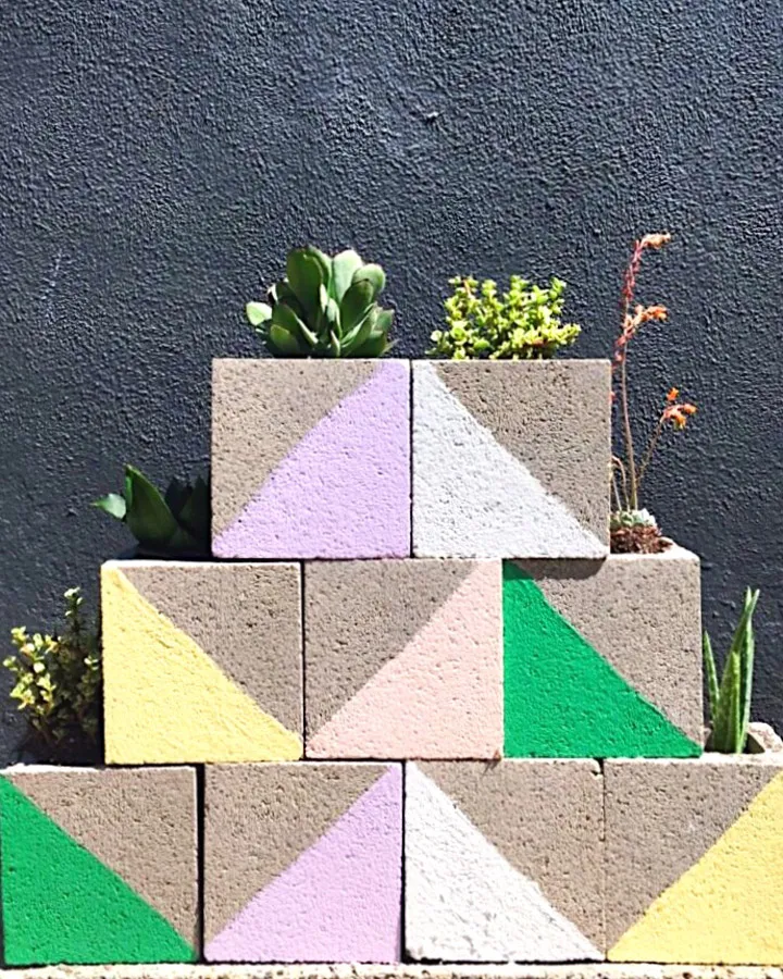 Color-Blocking A close up of a flower