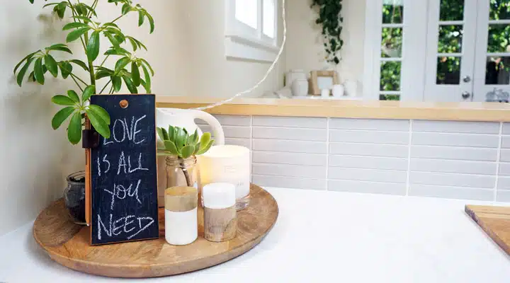 DSC06037-HiRes A vase of flowers on a table