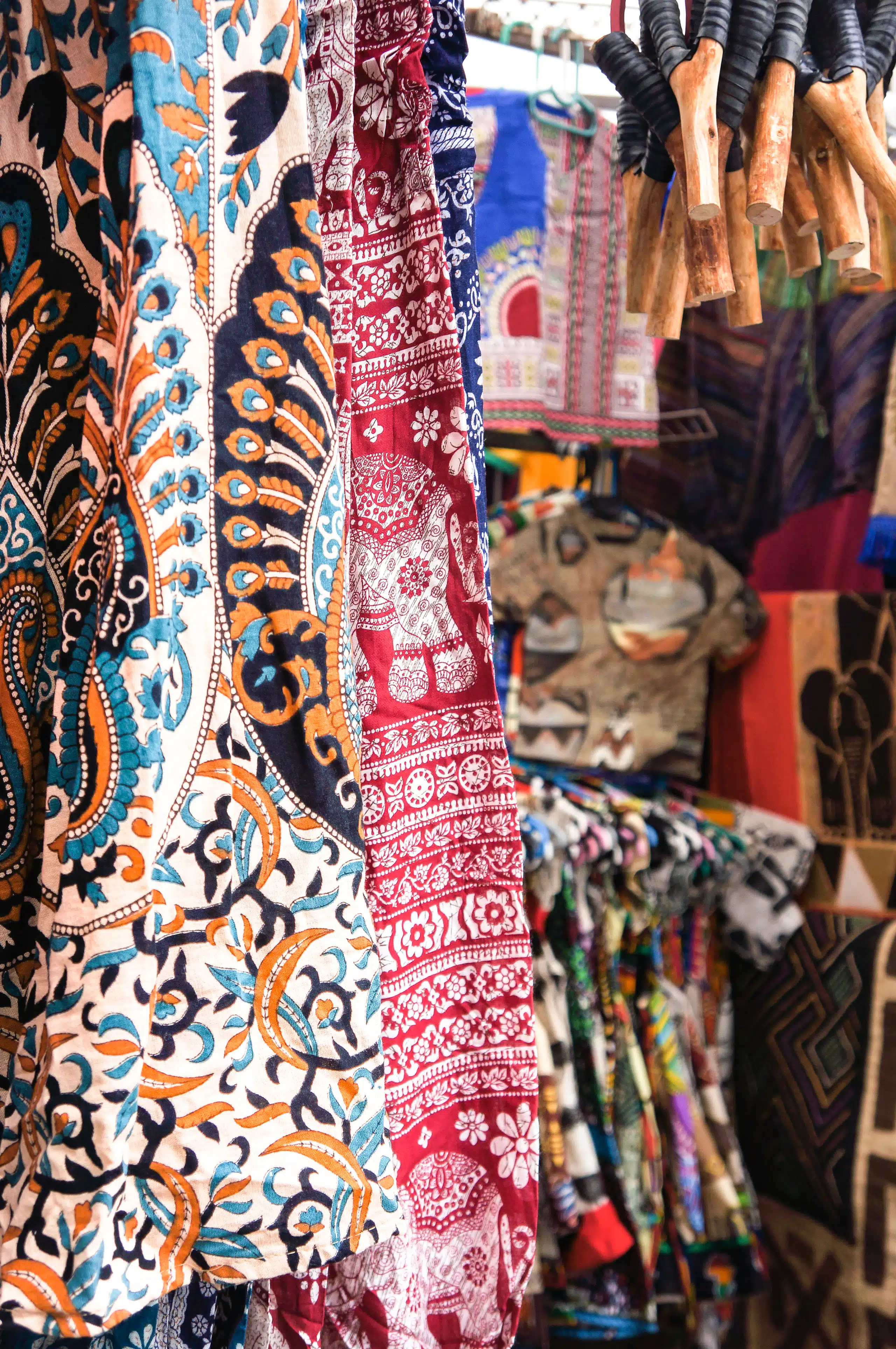 DSC07121 A group of colorful flowers