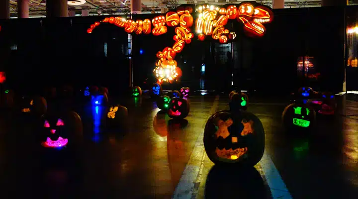 DSC08084 A lit up city at night