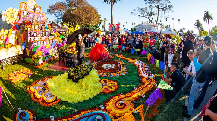 Diadelos_1 Un grupo de flores de colores