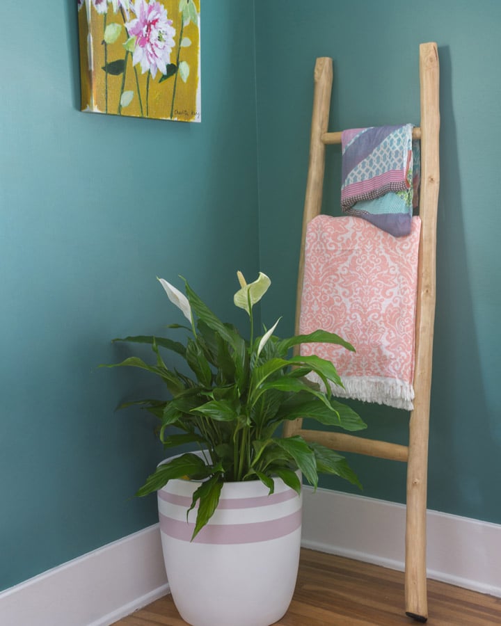 Un jarrón de flores sobre una mesa