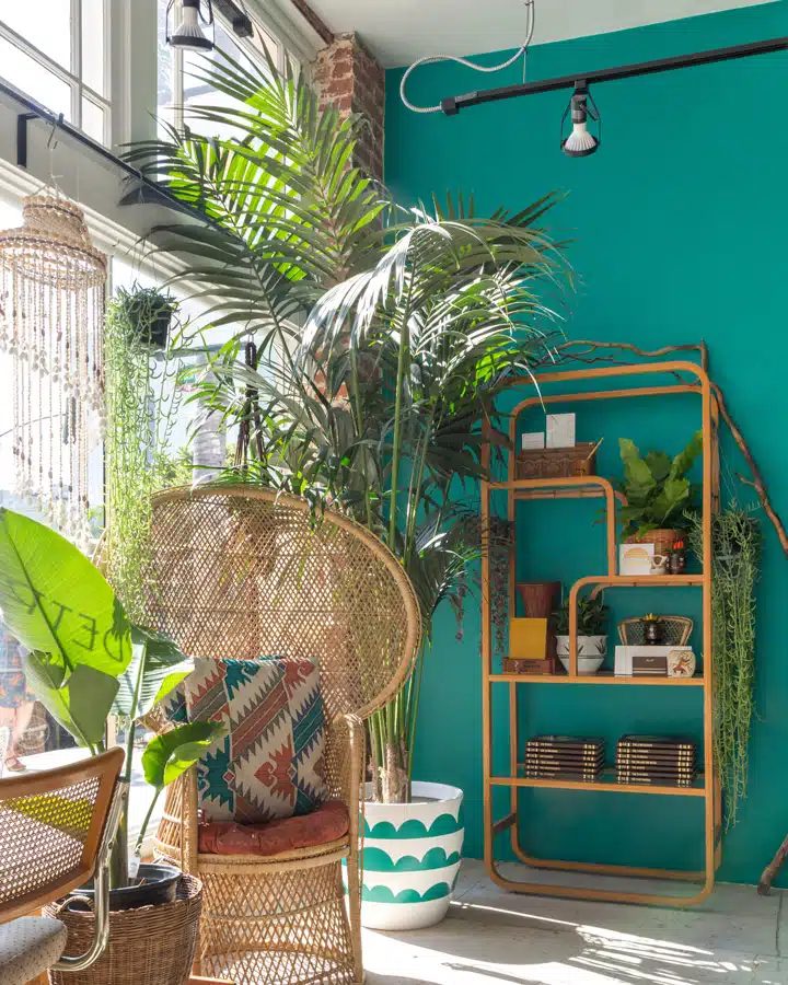 DunnEdwards_08162017-004 A basket full of colorful flowers