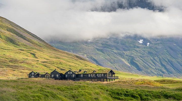 A herd of sheep grazing on a lush green hillside