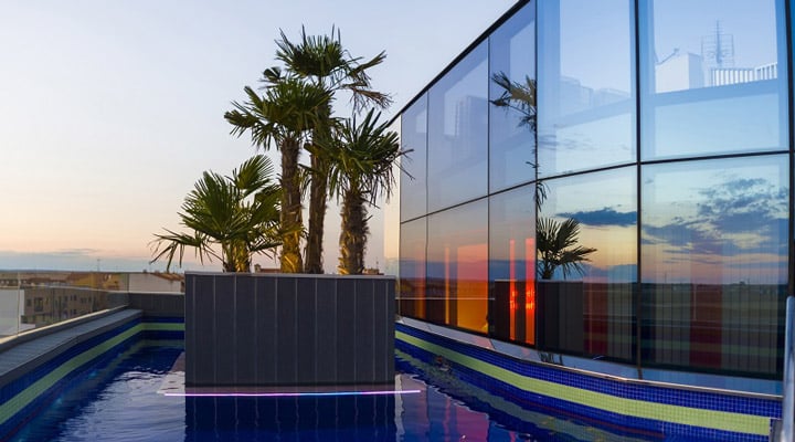 A pool next to a palm tree
