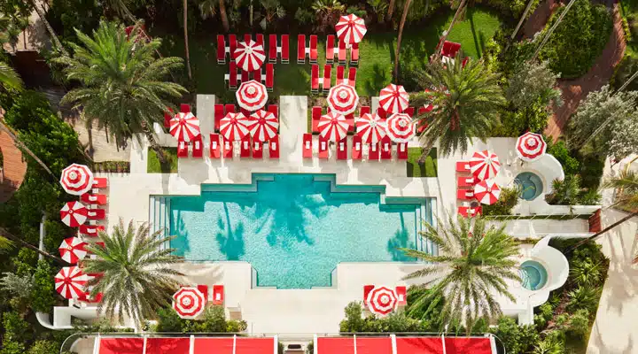 Faena_Pool_Close-UP A group of colorful flowers