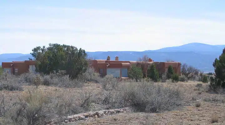 Georgia_OKeefe-720x400 A tree with a mountain in the background