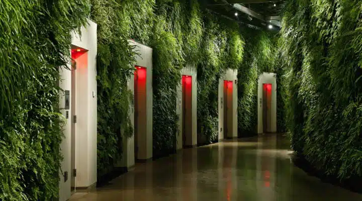 Living wall in East Conservatory of Longwood Gardens A group of people in a forest