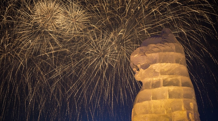 A group of fireworks in the sky