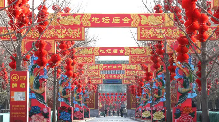 GettyImages-913019420_comp_1024 A group of colorful flowers