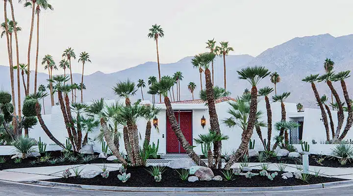 GoldenState_ModernismWeek_feature A group of palm trees