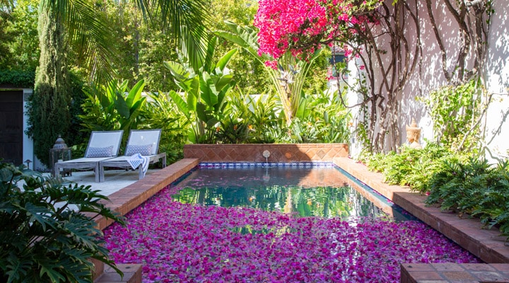 Un jarrón lleno de flores rosas en un jardín