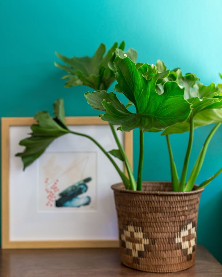 Un jarrón de flores sobre una mesa