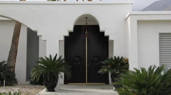 IMG_2215 A plant in front of a building