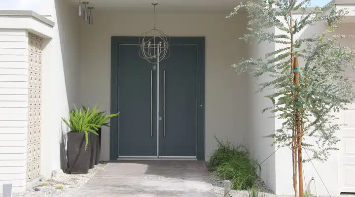 IMG_2216 A palm tree in front of a window