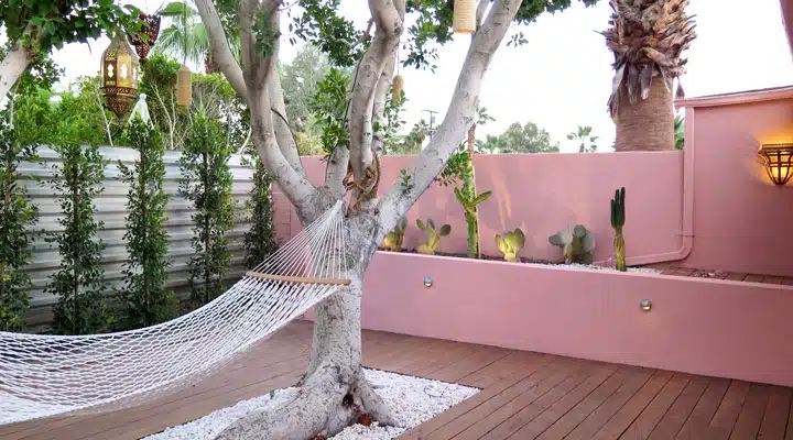 IMG_4827-2-_1_ A bird sitting on top of a tree