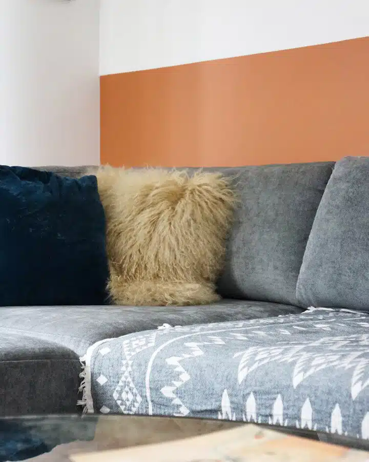 IMG_6828 A cat sleeping on a sofa