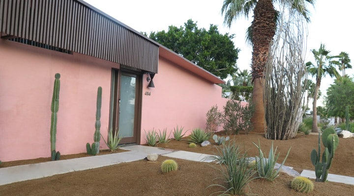 A group of palm trees on the side of a building