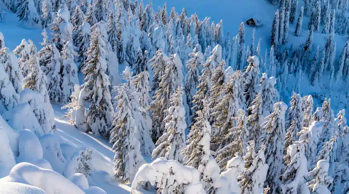 Transylvania, Romania. Pristine landscape. Un hombre en la cima de una montaña nevada
