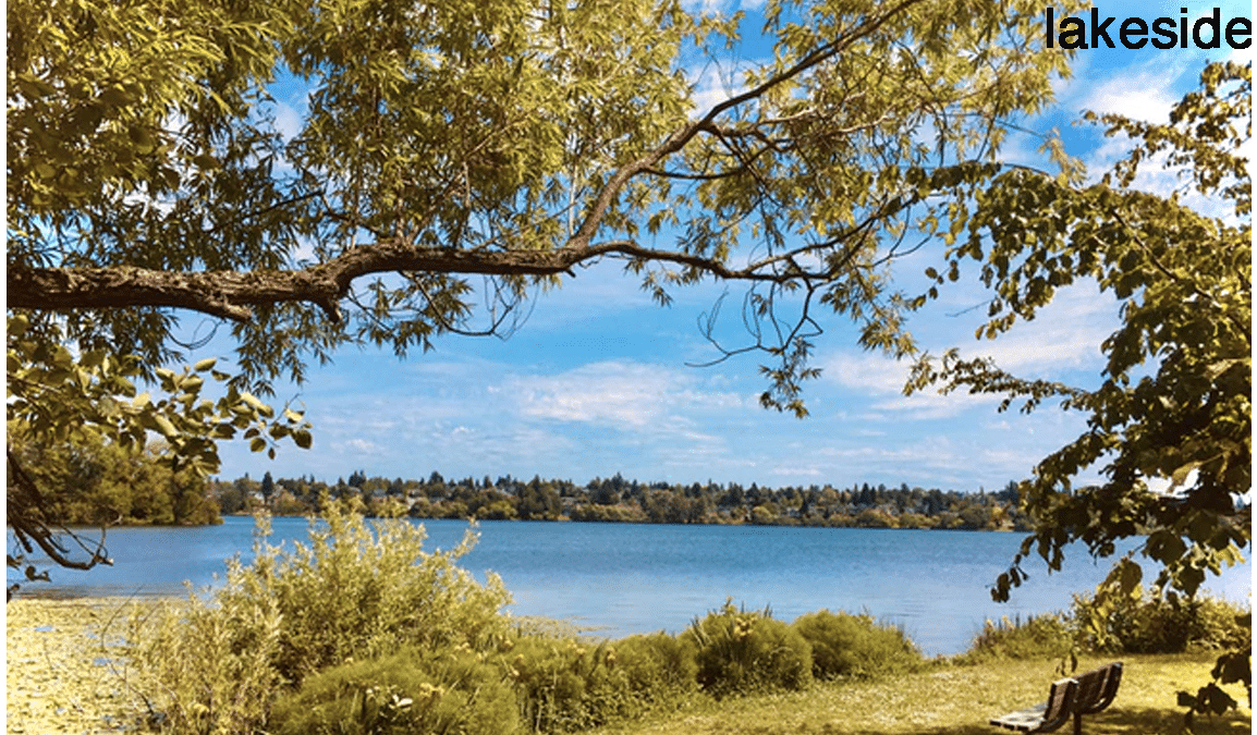 A screenshot of a cell phone