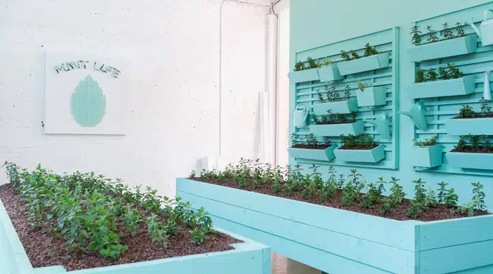 MOIC-BTS-April-13th-1074 A sign on the side of a building