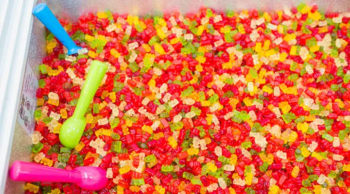 MOICApril20th-1078 A close up of a flower