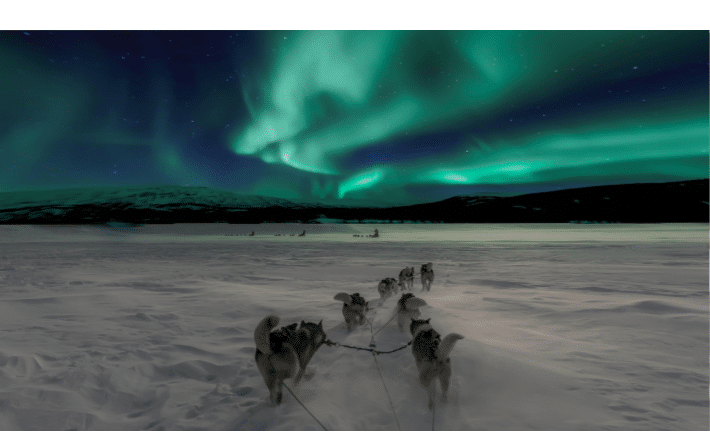 Graphical user interface, website