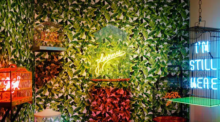 Olivia_Steele_2-720x400 A store filled with lots of green leaves