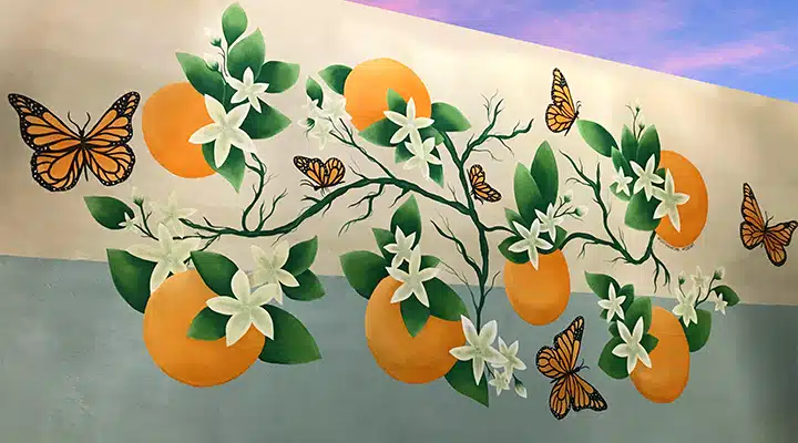 Orange-blossoms-1_720x400 A close up of a colorful wall