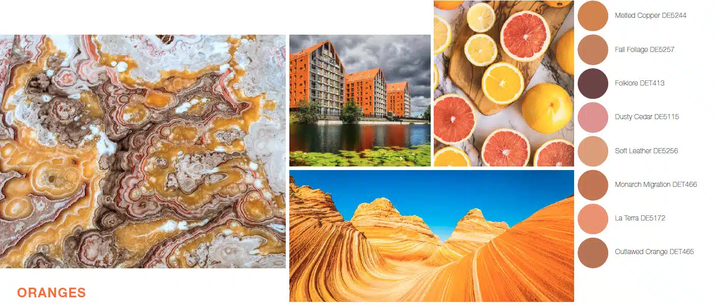 Oranges Food on a table