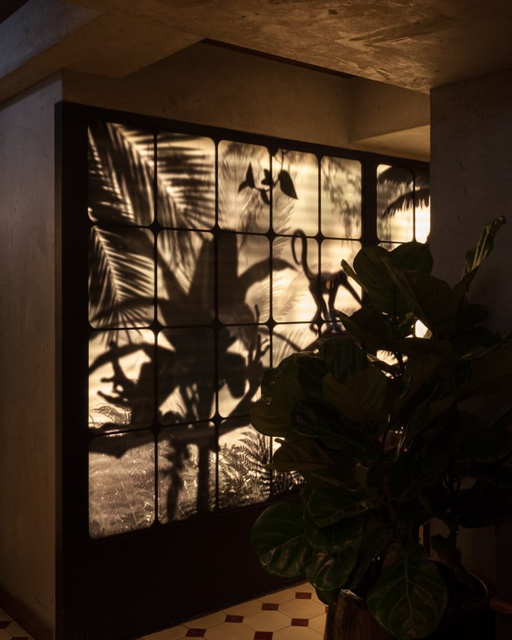 Paradis 05