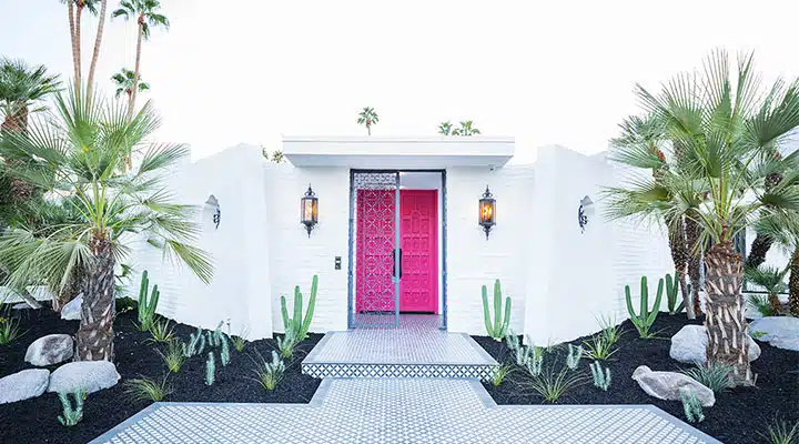Pink-Dahlia-DET419-by-Fred-Moser_720x400 A living area with palm trees